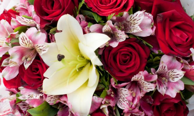 6 Ramos de flores para pedir perdón | Blog Floristeria Online Pétalos
