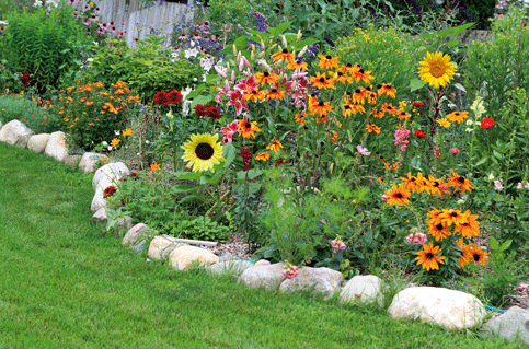 flores de verano