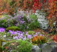 flores que no pierden sus hojas en otoño