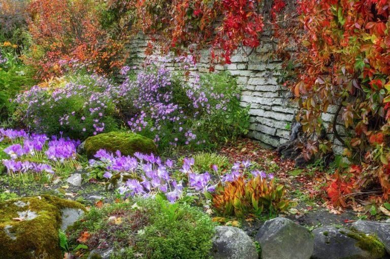 flores que no pierden sus hojas en otoño