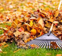 cuidados para el jardín en otoño