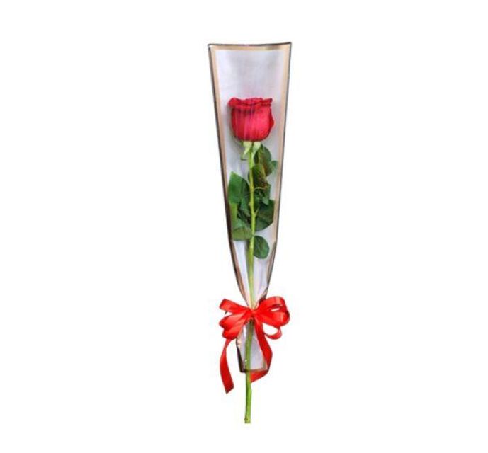 Rosa única Cami