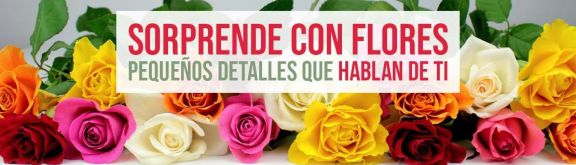 https://www.floristeriapetalos.com/pics/contenido/2773a56707c89696e454da5c15cd573354c8bd2dbanner-sorprende-con-flores-576x165.jpg