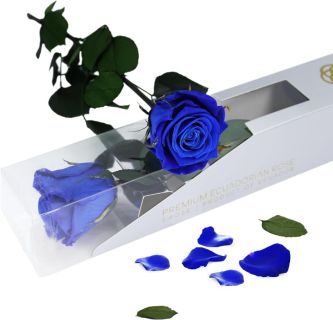 Rosa eterna azul Arare