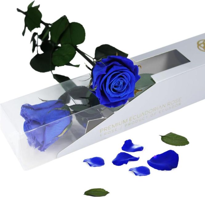 Rosa eterna azul Arare