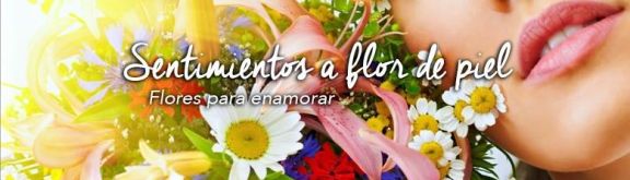 https://www.floristeriapetalos.com/pics/contenido/939e02e6b63c8865e30c8aae88882f511b32bd88bannerinicio3-576x165.jpg
