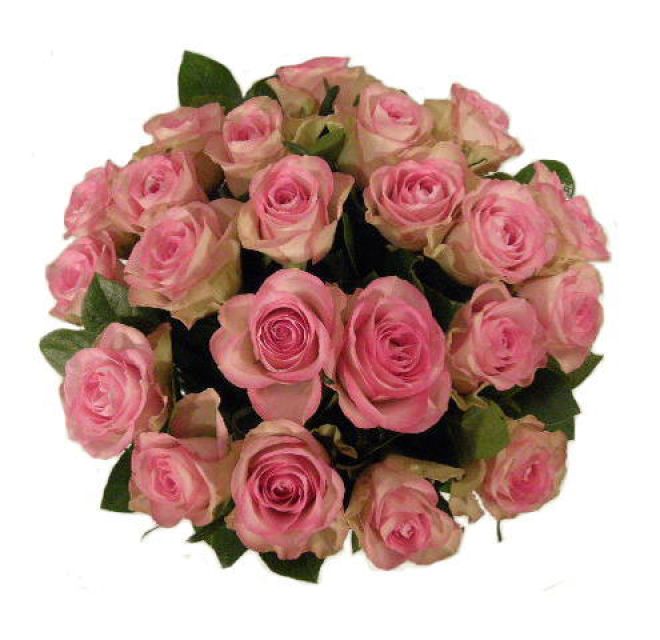 Bouquet de rosas Tammy