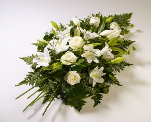  Funeraria La Dolorosa de Salamanca