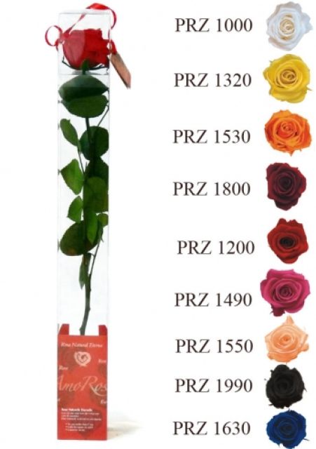 Rosas eternas Arshen