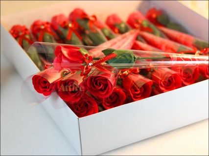 Rosas regalo