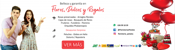 https://www.floristeriapetalos.com/pics/contenido/archivo-c-1-576x165.png