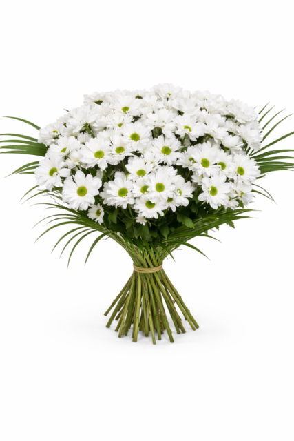 Bouquet de margaritas Omar