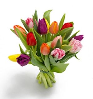 Bouquet de tulipanes