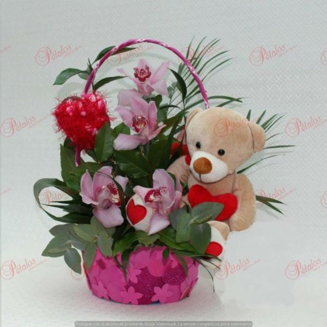 Centro de orquídeas Joaquín