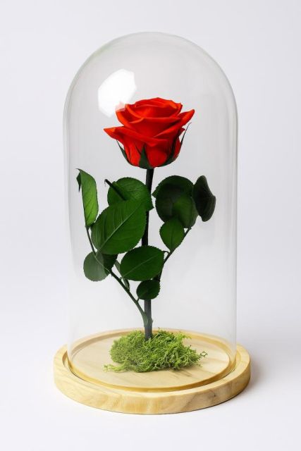 Cúpula de la Bella y la Bestia