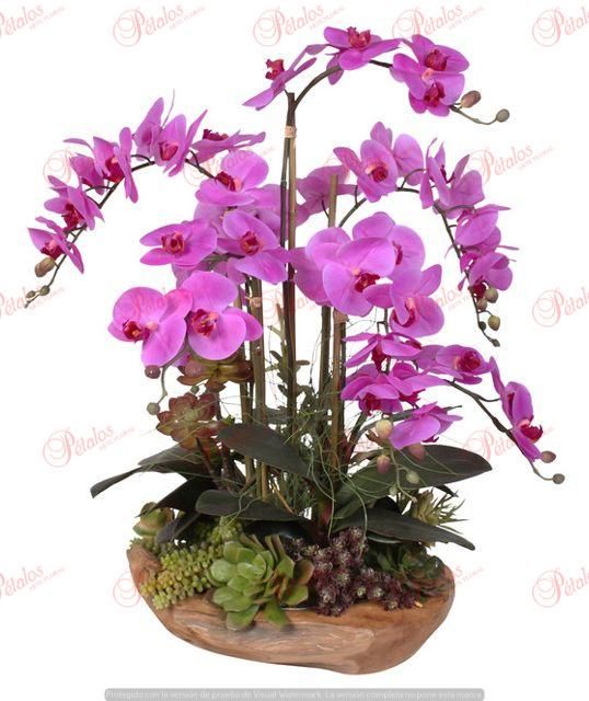 Centro de orquídeas Marie