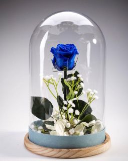 Rosas eternas Argón