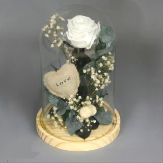 Cúpula de rosas eternas Deseo