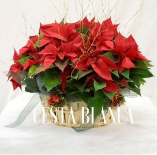 Cesta de Pascua Pétalos