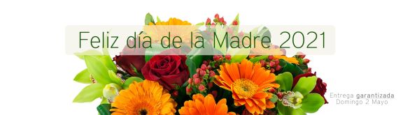 https://www.floristeriapetalos.com/pics/contenido/flores-a-domicilio-dia-de-la-madre-2021-576x165.jpg
