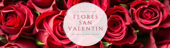 https://www.floristeriapetalos.com/pics/contenido/flores-san-valentin-2024-fin-576x165.jpg