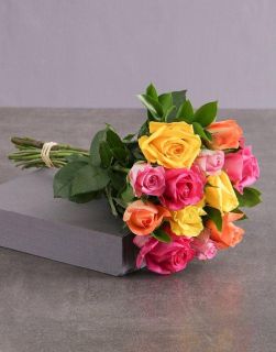 Pack de 12 rosas multicolor