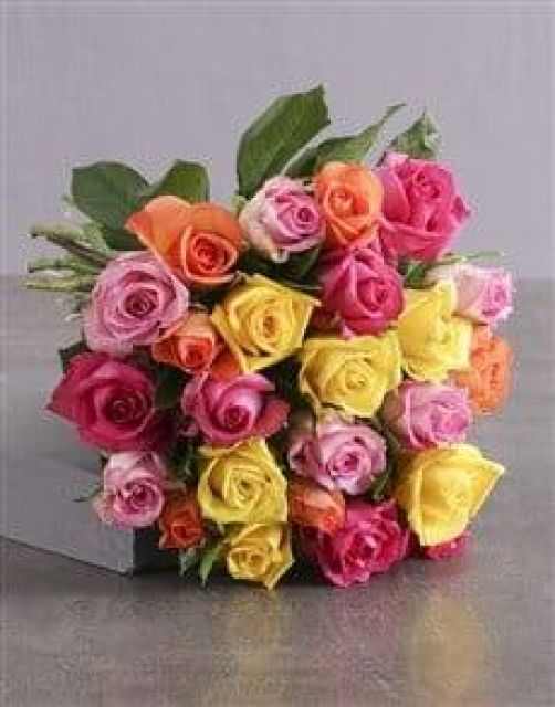 Pack de 18 rosas multicolor