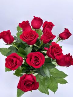 Pack de 9 rosas Sergio