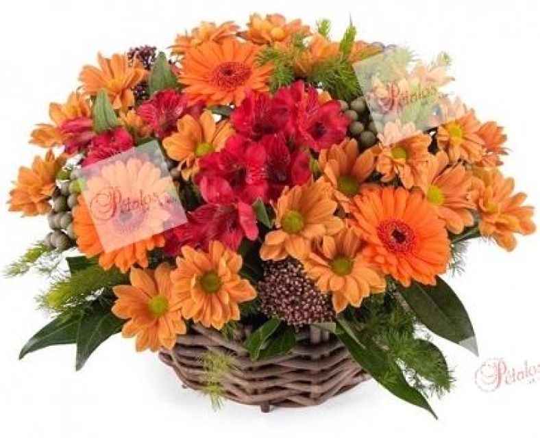 Cesta de flores Lionela