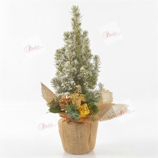 Árbol de Navidad Sintra