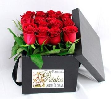 Caja de rosas Paloma