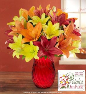 Bouquet de lilium Alika