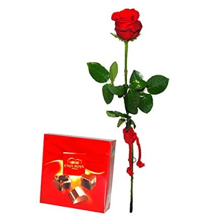 Top 48+ precio de la rosa roja