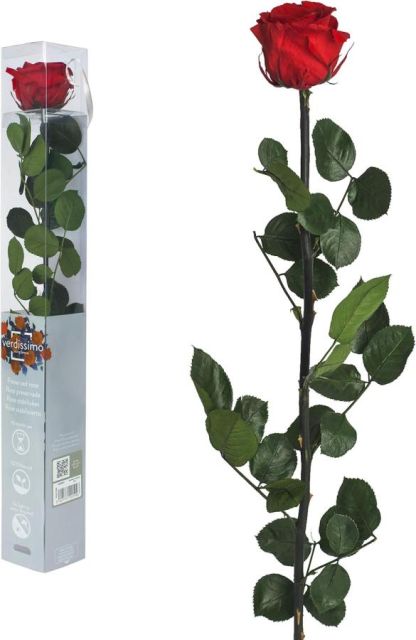 Rosas eternas Arshen