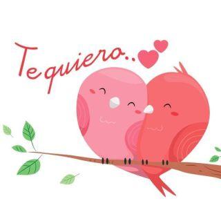 Tarjeta Aire