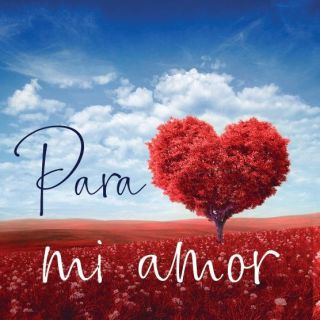 Tarjeta Ayel